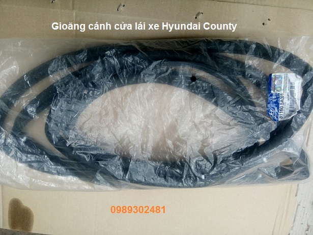 GIOĂNG KHUNG CỬA LÁI COUNTY 811605A001