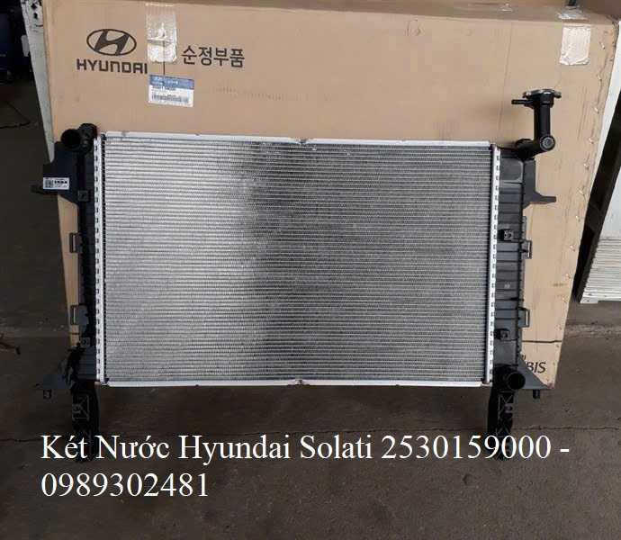 Két Nước Hyundai Solati 2530159000 Chính Hãng