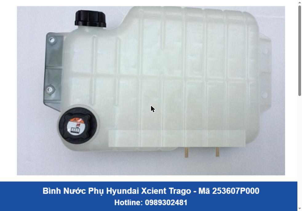 Bình Nước Phụ Hyundai Xcient Trago (253607P000)