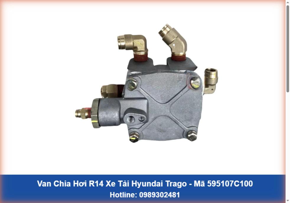 Van Chia Hơi R14 Xe Tải Hyundai Trago (595107C100)