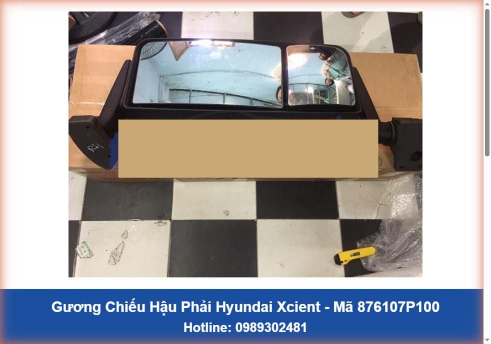 Gương Chiếu Hậu Hyundai Xcient (876107P100-876207P100)