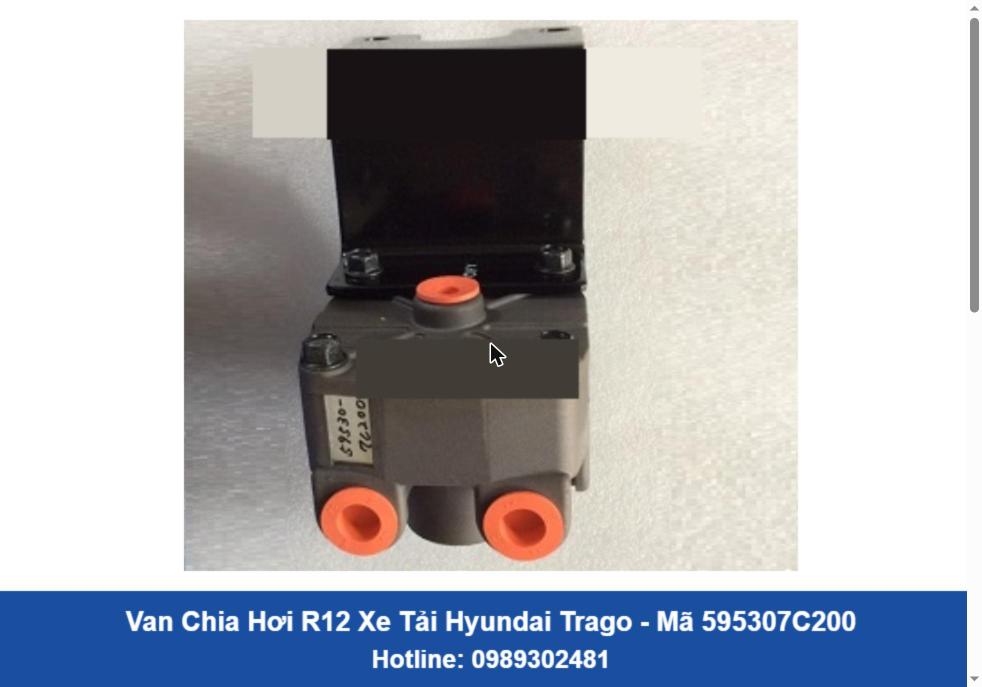 Van Chia Hơi R12 Xe Tải Hyundai Trago (595307C200)