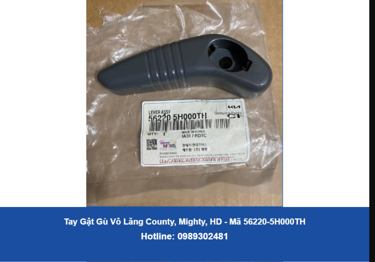 Tay Gật Gù Vô Lăng County, Mighty, HD (56220-5H000TH)