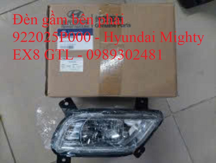 Đèn gầm bên phải 922025P000 - Hyundai Mighty EX8 GTL