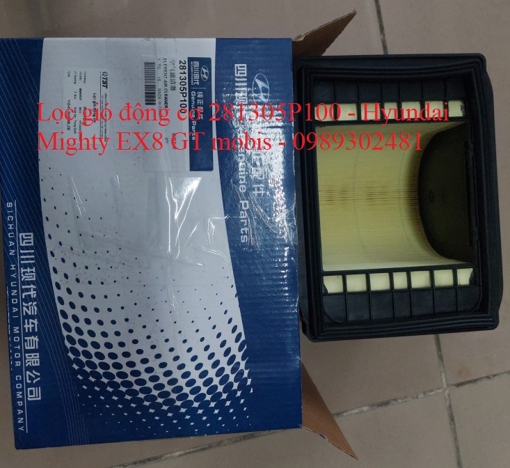 Lọc gió động cơ 281305P100 - Hyundai Mighty EX8 GT